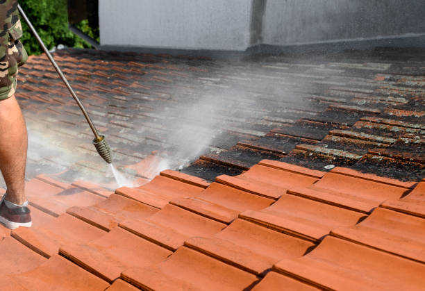 Best Commercial Building Pressure Washing  in Mount Zion, IL