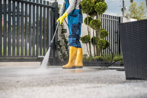 Best Affordable Power Washing  in Mount Zion, IL