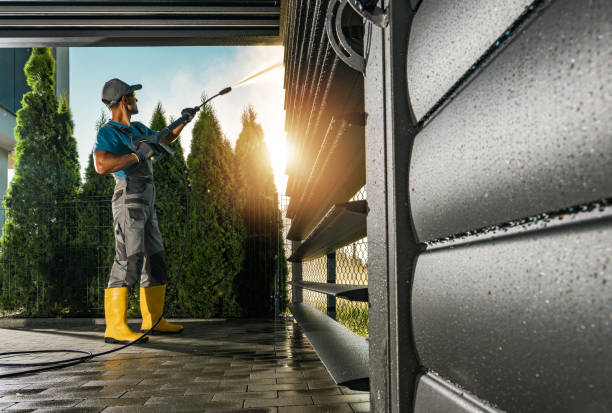 Best Affordable Pressure Washing  in Mount Zion, IL