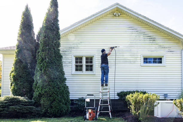 Best Residential Pressure Washing Services  in Mount Zion, IL